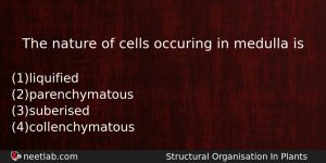 The Nature Of Cells Occuring In Medulla Is Biology Question