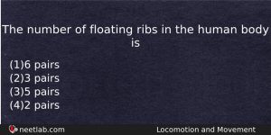 The Number Of Floating Ribs In The Human Body Is Biology Question