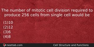 The Number Of Mitotic Cell Division Required To Produce 256 Question