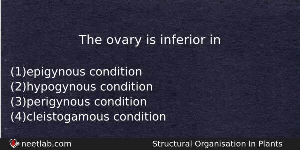 The Ovary Is Inferior In Biology Question 