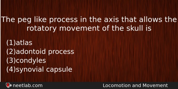 The Peg Like Process In The Axis That Allows The Biology Question 