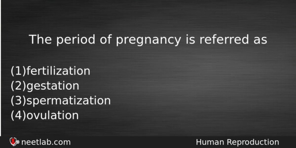 The Period Of Pregnancy Is Referred As Biology Question 
