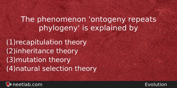 The Phenomenon Ontogeny Repeats Phylogeny Is Explained By Biology Question 