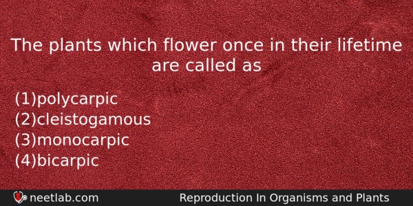 The Plants Which Flower Once In Their Lifetime Are Called Biology Question 