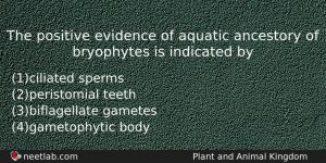 The Positive Evidence Of Aquatic Ancestory Of Bryophytes Is Indicated Biology Question