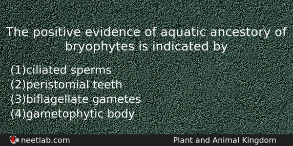 The Positive Evidence Of Aquatic Ancestory Of Bryophytes Is Indicated Biology Question 