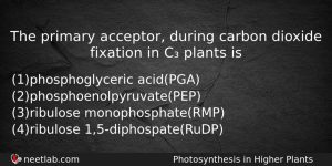 The Primary Acceptor During Carbon Dioxide Fixation In C Plants Biology Question