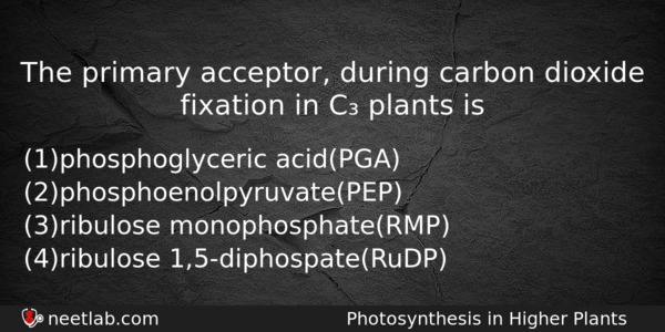 The Primary Acceptor During Carbon Dioxide Fixation In C Plants Biology Question 