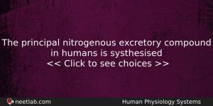 The Principal Nitrogenous Excretory Compound In Humans Is Systhesised Biology Question