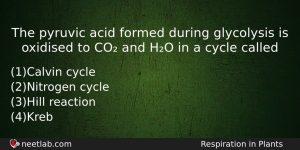The Pyruvic Acid Formed During Glycolysis Is Oxidised To Co Biology Question