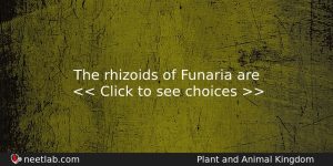 The Rhizoids Of Funaria Are Biology Question