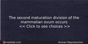 The Second Maturation Division Of The Mammalian Ovum Occurs Biology Question