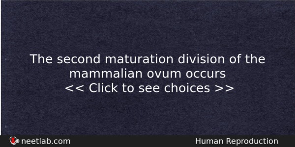 The Second Maturation Division Of The Mammalian Ovum Occurs Biology Question 
