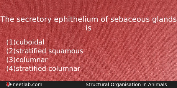 The Secretory Ephithelium Of Sebaceous Glands Is Biology Question 
