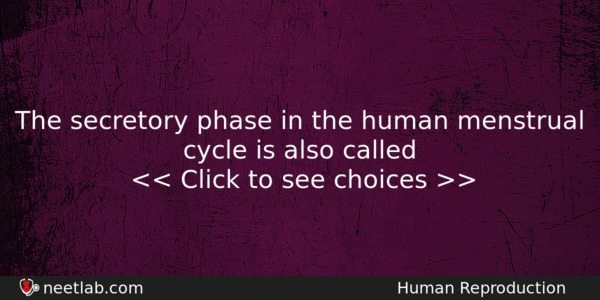The Secretory Phase In The Human Menstrual Cycle Is Also Biology Question 