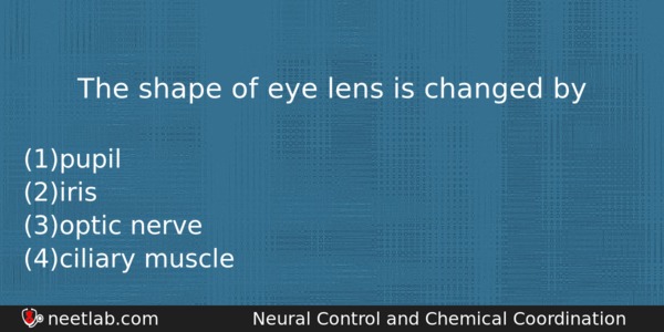 The Shape Of Eye Lens Is Changed By Biology Question 
