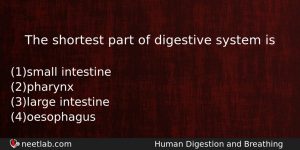 The Shortest Part Of Digestive System Is Biology Question