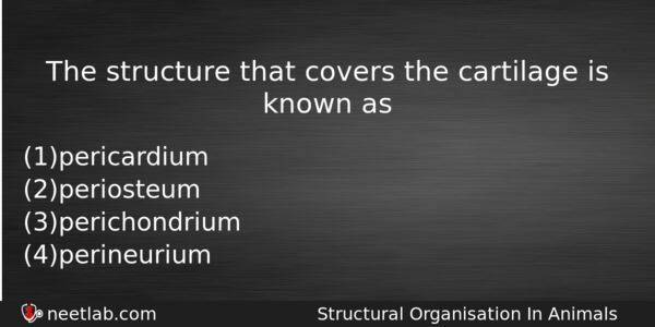 The Structure That Covers The Cartilage Is Known As Biology Question 