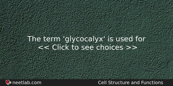 The Term Glycocalyx Is Used For Biology Question 