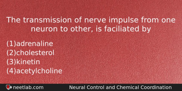 The Transmission Of Nerve Impulse From One Neuron To Other Biology Question 