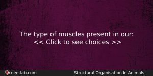 The Type Of Muscles Present In Our Biology Question