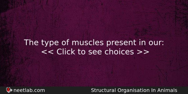The Type Of Muscles Present In Our Biology Question 