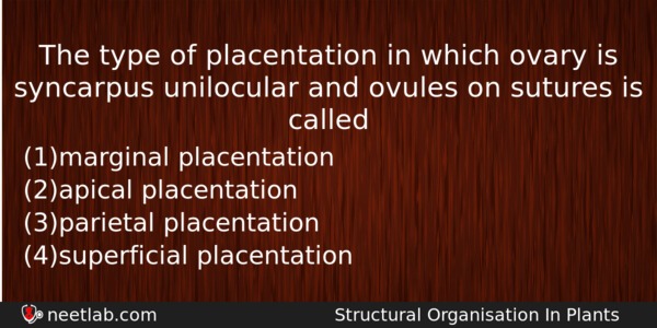 The Type Of Placentation In Which Ovary Is Syncarpus Unilocular Biology Question 