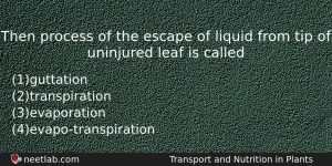 Then Process Of The Escape Of Liquid From Tip Of Biology Question