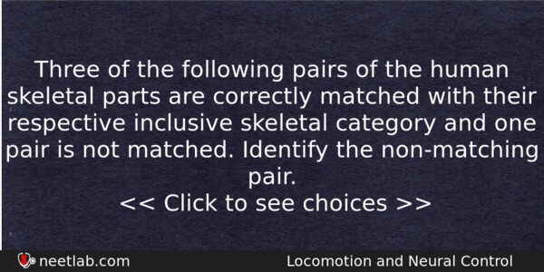 Three Of The Following Pairs Of The Human Skeletal Parts Biology Question 