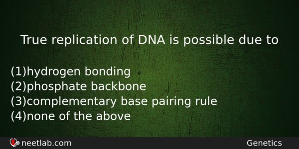 True Replication Of Dna Is Possible Due To Biology Question 