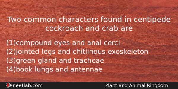 Two Common Characters Found In Centipede Cockroach And Crab Are Biology Question 