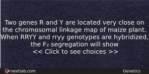 Two Genes R And Y Are Located Very Close On Biology Question