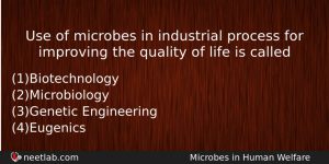 Use Of Microbes In Industrial Process For Improving The Quality Biology Question
