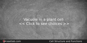 Vacuole In A Plant Cell Biology Question