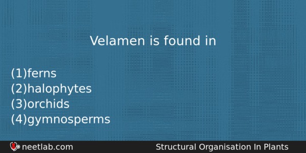 Velamen Is Found In Biology Question 