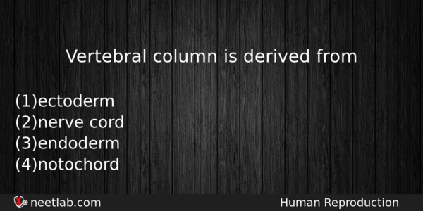 Vertebral Column Is Derived From Biology Question 