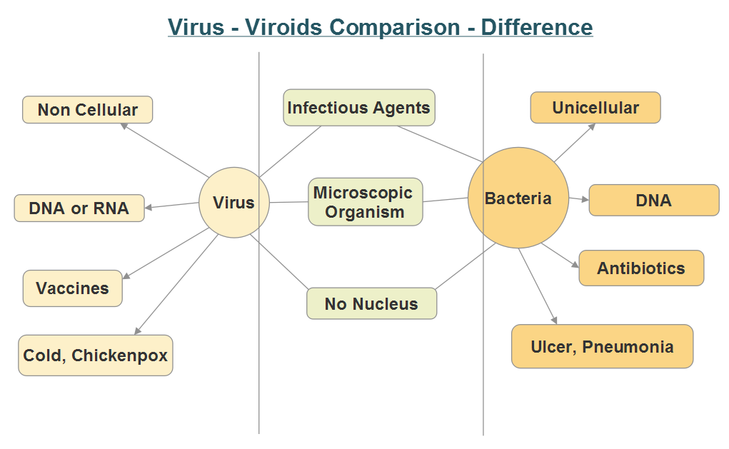 Virus Bacteria Compare