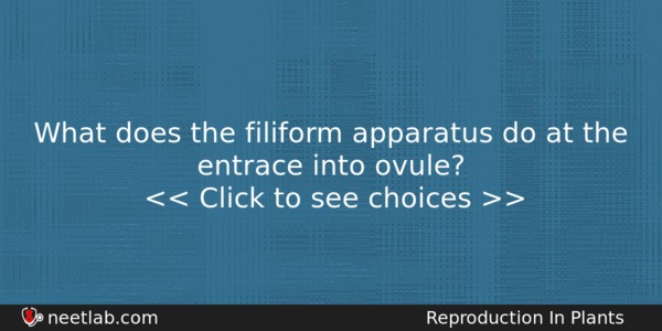 What Does The Filiform Apparatus Do At The Entrace Into Biology Question 
