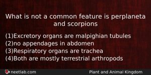 What Is Not A Common Feature Is Perplaneta And Scorpions Biology Question