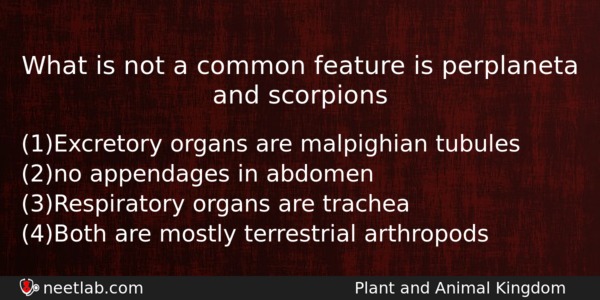 What Is Not A Common Feature Is Perplaneta And Scorpions Biology Question 