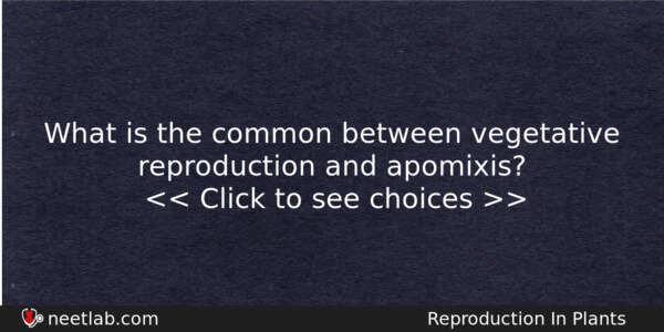 What Is The Common Between Vegetative Reproduction And Apomixis Biology Question 
