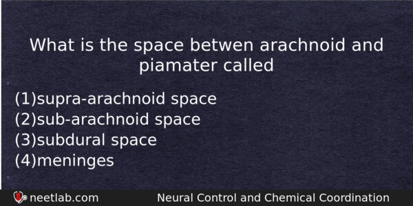 What Is The Space Betwen Arachnoid And Piamater Called Biology Question 