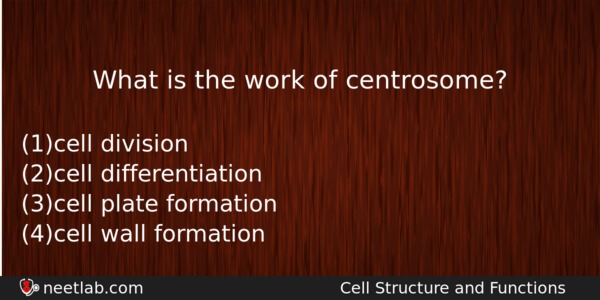What Is The Work Of Centrosome Biology Question 