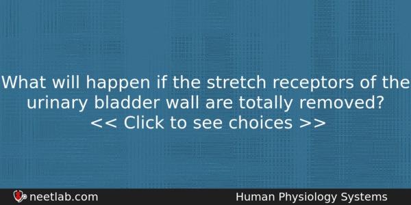 What Will Happen If The Stretch Receptors Of The Urinary Bladder