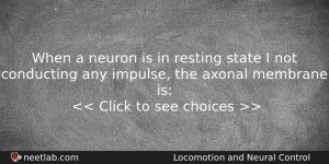 When A Neuron Is In Resting State I Not Conducting Biology Question