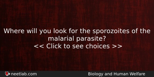 Where Will You Look For The Sporozoites Of The Malarial Biology Question 