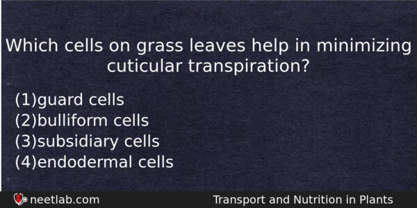 Which Cells On Grass Leaves Help In Minimizing Cuticular Transpiration Biology Question 