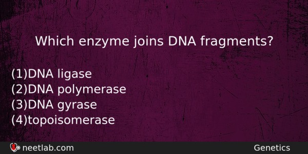 Which Enzyme Joins Dna Fragments Biology Question 