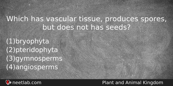 Which Has Vascular Tissue Produces Spores But Does Not Has Biology Question 