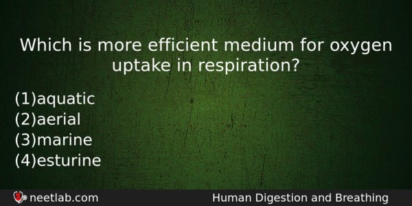 Which Is More Efficient Medium For Oxygen Uptake In Respiration Biology Question 